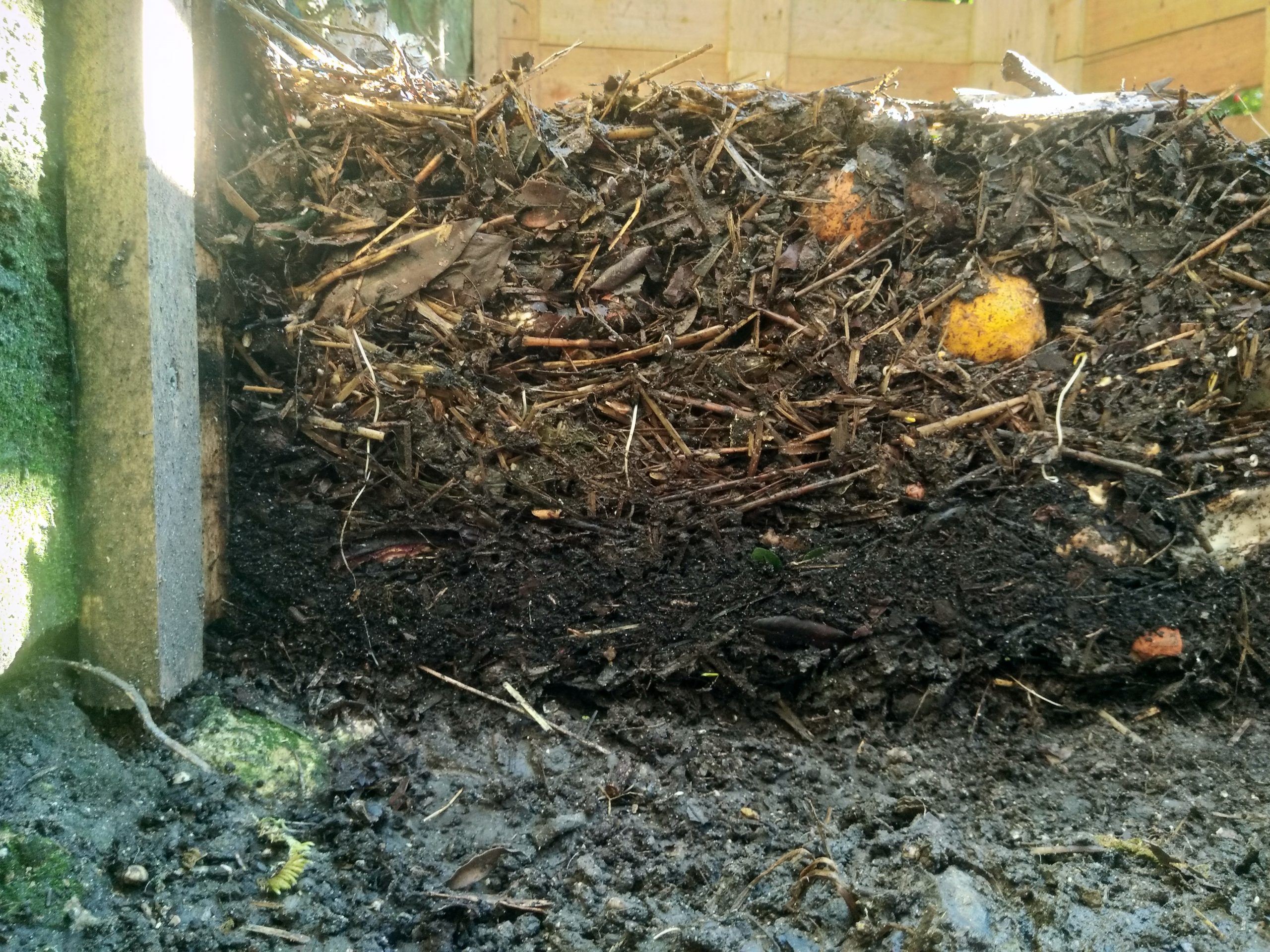 The Role of Composting in Soil Health in Permaculture Gardening